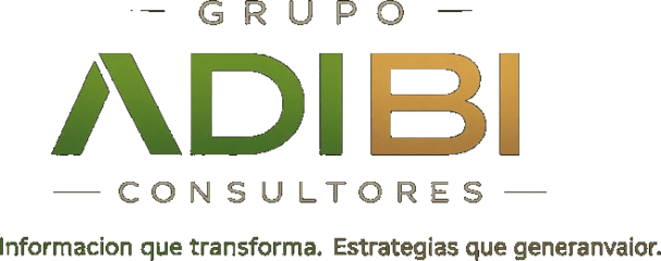 ADIBI Consultores